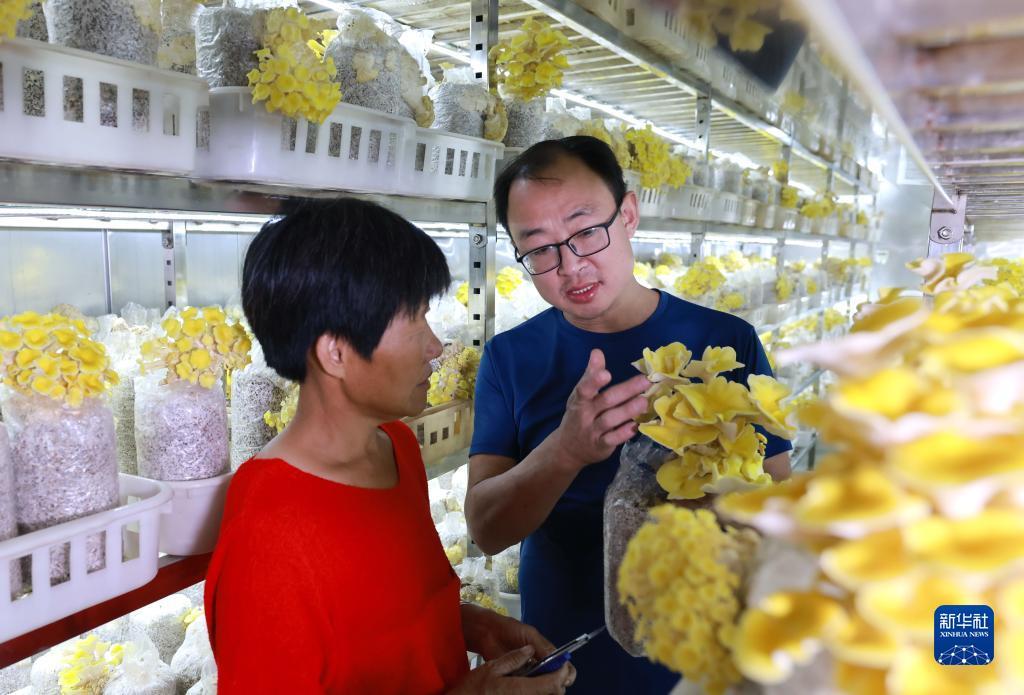 皇家金堡游戏网站注册